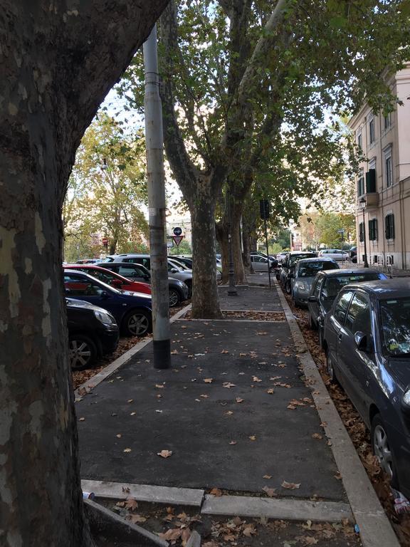 Giulio Cesare Luxury Apartment Roma Dış mekan fotoğraf